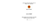 Giấy phép hoạt động của tổ chức con nuôi nước ngoài tại Việt Nam