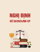 Nghị định số 55/2024/NĐ-CP