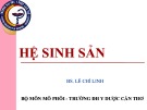 Bài giảng Hệ sinh sản - BS. Lê Chí Linh