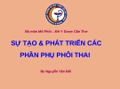 Bài giảng Sự tạo và phát triển các phần phụ phôi thai