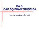 Bài giảng Da và các bộ phận thuộc da - BS. Nguyễn Văn Đối