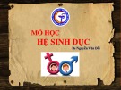 Bài giảng Mô học hệ sinh dục - Bs. Nguyễn Văn Đối