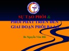 Bài giảng Sự tạo phôi và phôi phát triển đến giai đoạn phôi ba lá