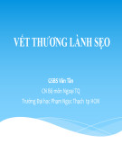 Bài giảng Vết thương lành sẹo - GS. BS. Văn Tần