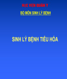 Bài giảng Sinh lý bệnh tiêu hóa - Học viện Quân Y