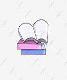 Tiểu luận: Phát triển thương mại quốc tế ở Việt Nam hiện nay. Thực trạng và giải pháp