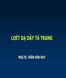 Bài giảng Loét dạ dày tá tràng - PGS.TS. Trần Văn Huy