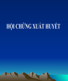 Bài giảng Hội chứng xuất huyết (46 trang)