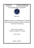 Tóm tắt Luận án Tiến sĩ Vật liệu cao phân tử và tổ hợp: Nghiên cứu chế tạo và tính chất của lớp phủ khâu mạch quang trên cơ sở nhựa acrylate và các hạt nano ZnO-Ag