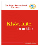 Khóa luận tốt nghiệp ngành Marketing: Thực trạng hoạt động bán hàng công ty TNHHTM Pet Prince ở Hồ Chí Minh và các giải pháp