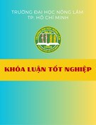 Khóa luận tốt nghiệp ngành Kinh tế Nông Lâm: Phân tích hoạt động phân phối hạt giống cỏ lai của Công ty Cổ phần Giống cây trồng Miền Nam