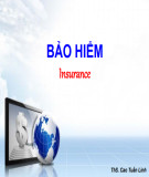 Bài giảng Bảo hiểm: Chương 1 - ThS. Cao Tuấn Linh