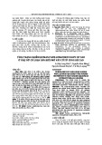 Tình trạng nhiễm Human papillomavirus nguy cơ cao ở phụ nữ có loạn sản biểu mô vảy cổ tử cung độ cao