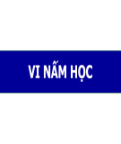 Bài giảng Vi nấm học