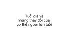 Bài giảng Tuổi già và những thay đổi của cơ thể người lớn tuổi