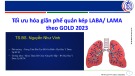 Bài giảng Tối ưu hóa giãn phế quản kép LABA/ LAMA theo GOLD 2023 - TS.BS. Nguyễn Như Vinh