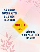 Tài liệu Bồi dưỡng thường xuyên giáo viên mầm non: Modul 43 - Giáo dục vì sự phát triển bề vững trong giáo dục mầm non