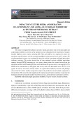 Impact of culture media and duration on antioxidant and alpha-glucosidase inhibitory activities of methanol extract from Graphis handelii mycobiont