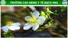 Bài giảng Kỹ thuật cho người bệnh thở oxy