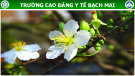Bài giảng Kỹ thuật chườm ấm, chườm lạnh