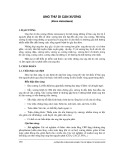 Ung thư di căn xương (Bone metastases)