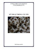 Kỹ thuật trồng cây tỏi (Năm 2017)