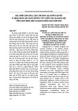 Đặc điểm lâm sàng, cận lâm sàng hạ đường huyết ở bệnh nhân đái tháo đường týp 2 điều trị tại khoa nội tổng hợp Bệnh viện Đa khoa Đông Anh năm 2023