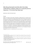 Biến động thành phần loài thiên địch Chân khớp (Arthropoda) của Bướm chanh di cư Catopsilia pomona (Fabricius, 1775) ở tỉnh Thừa Thiên Huế