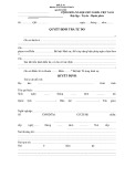 Mẫu Quyết định trả tự do