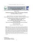 Topological solitons in high-order nonlinear material with Moiré photonic lattices