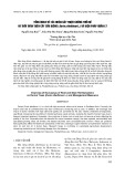 Tổng quan về tác nhân gây triệu chứng thối rễ và thối thân trên cây sầu riêng (Durio zibethinus L.) và biện pháp quản