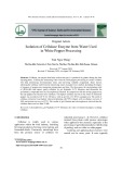 Isolation of cellulase enzyme from water used in white pepper processing