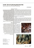 In lưới – lịch sử và phương pháp thực hiện