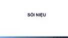Bài giảng Sỏi niệu - BS. Trần Văn Nguyên