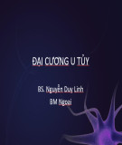 Bài giảng Đại cương u tủy - BS. Nguyễn Duy Linh