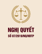 Nghị quyết 07/2019/NQ/HĐTP