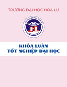 Khóa luận tốt nghiệp đại học ngành Kế toán: Thực trạng và giải pháp hoàn thiện kế toán bán hàng và xác định kết quả bán hàng tại Công ty TNHH Tân Hoàng Hải NB