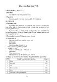 Zika virus Real-time PCR