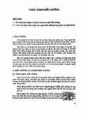 Chức năng điều dưỡng