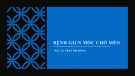 Bài giảng Bệnh giun móc chó mèo - PGS. TS. Trần Thị Hồng