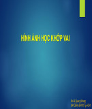 Bài giảng Hình ảnh học khung chậu và cùng cụt - BS. Lê Quang Khang