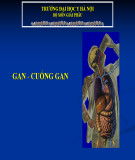 Bài giảng Gan và cuốn gan