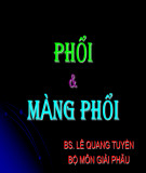 Bài giảng Phổi và màng phổi - BS Lê Quang Tuyền