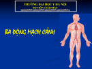 Bài giảng Ba động mạch cảnh