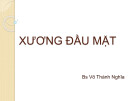 Bài giảng Xương đầu mặt - BS Võ Thành Nghĩa