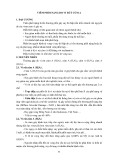 Viêm phổi nặng do vi rút cúm A