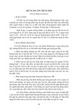 Dị ứng do côn trùng đốt (Venom Hypersensitivity)