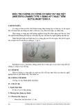 Điều trị chứng co cứng cơ bàn tay khi viết (Writer's Cramp) type 1 bằng kỹ thuật tiêm Botulinum toxin A