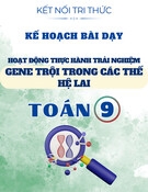 Kế hoạch bài dạy Toán 9 - Hoạt động thực hành trải nghiệm: Gene trội trong các thế hệ lai (Sách Kết nối tri thức)