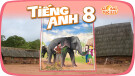 Bài giảng Tiếng Anh 8 - Unit 12: Lesson 2 (Sách Global Success)